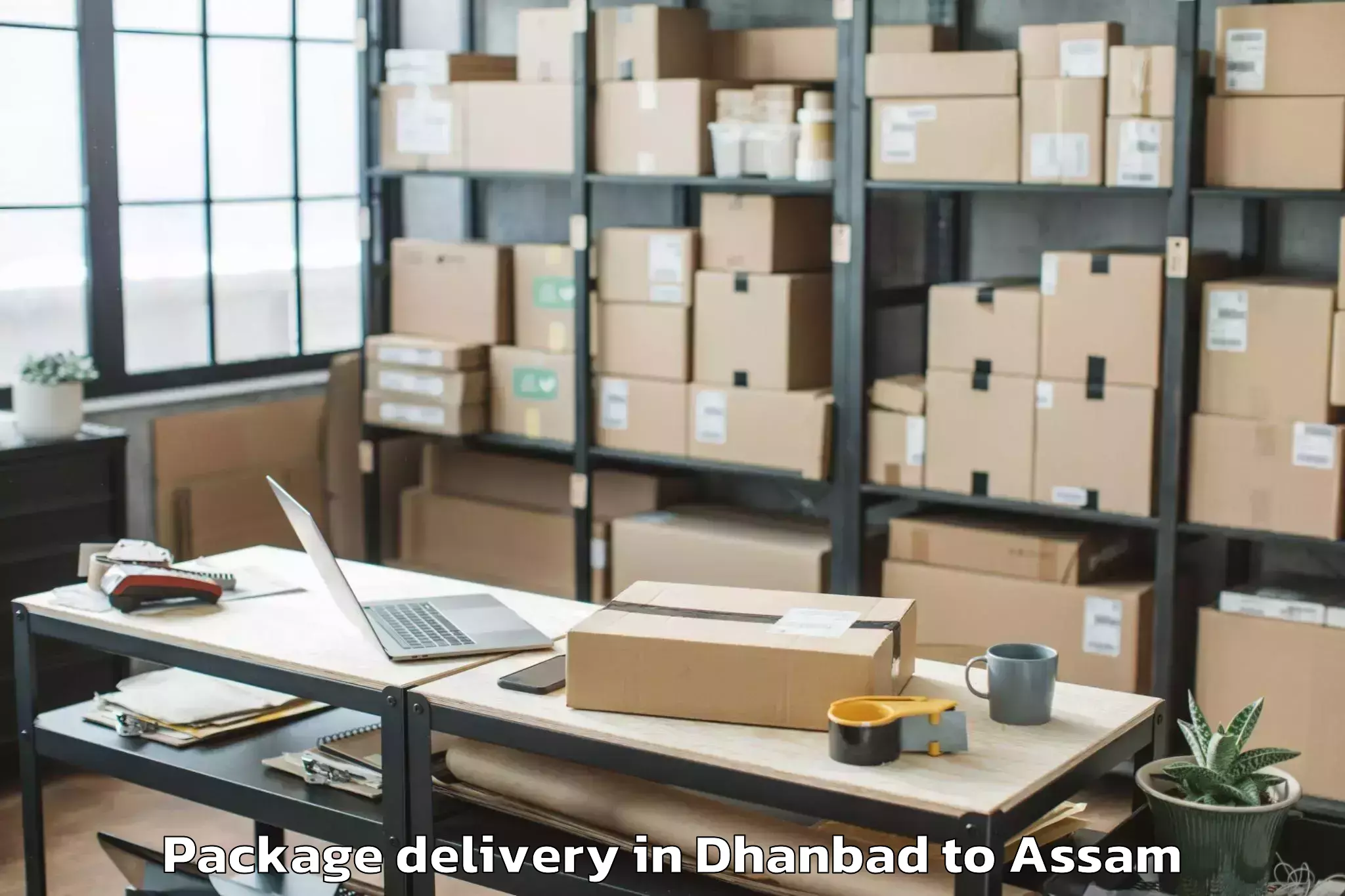 Expert Dhanbad to Nazira Package Delivery